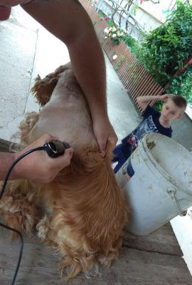 Прикрепленное изображение: yRclm9L3_Cs.jpg